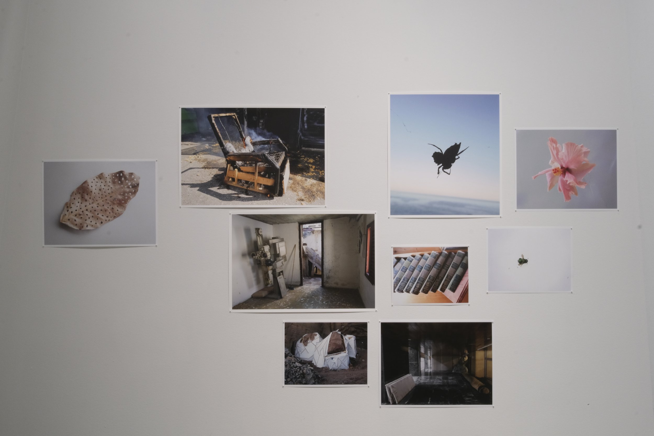 Presence: Abbas Akhavan, Ghazaleh Avarzamani, Tamara Lee-Anne Cardinal, Christine Howard Sandoval, Jayce Salloum, Linda Sormin, and Badlands Art Department x Lindsay Sutton
