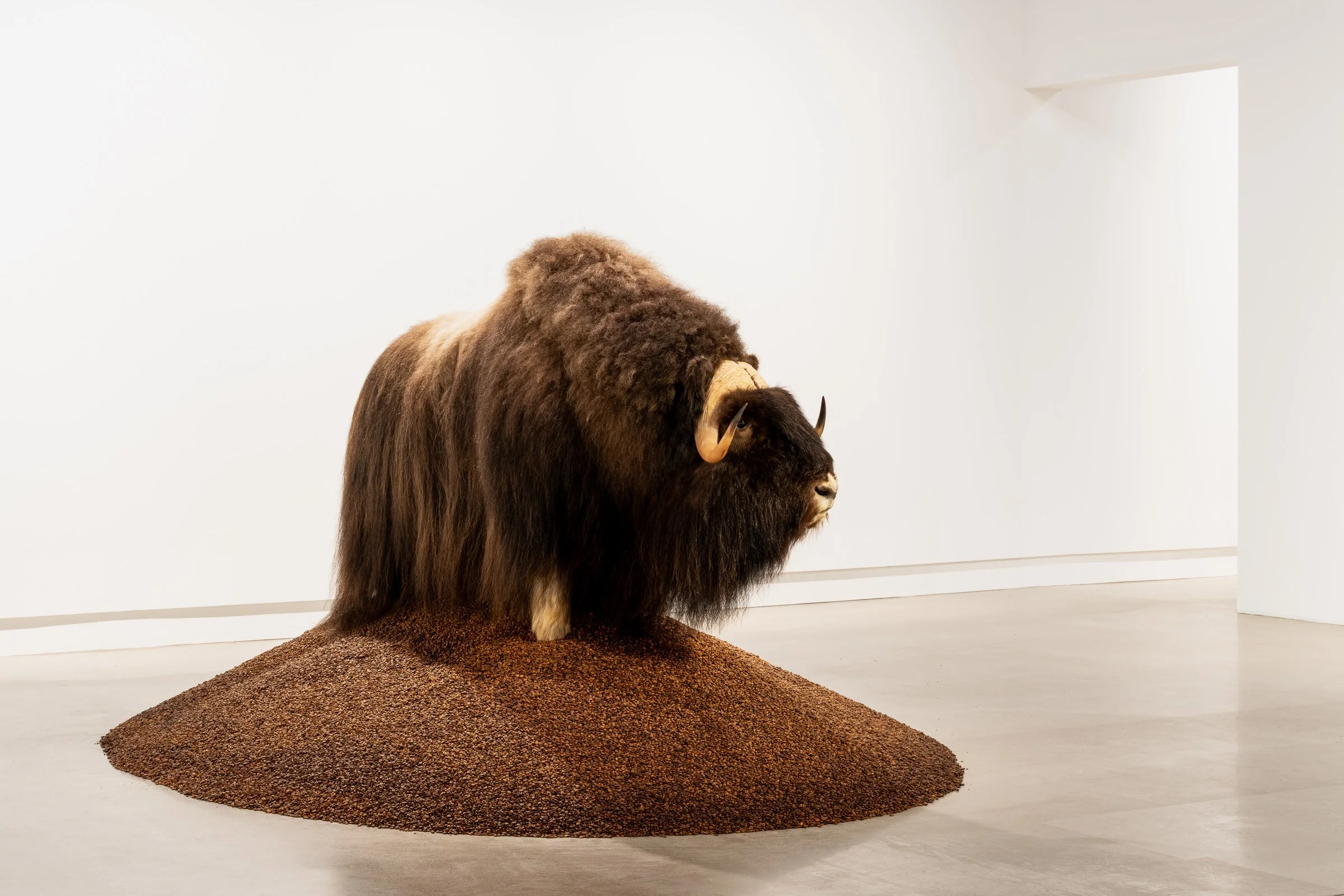 ContemporaryCalgary_Pivi_165.jpg