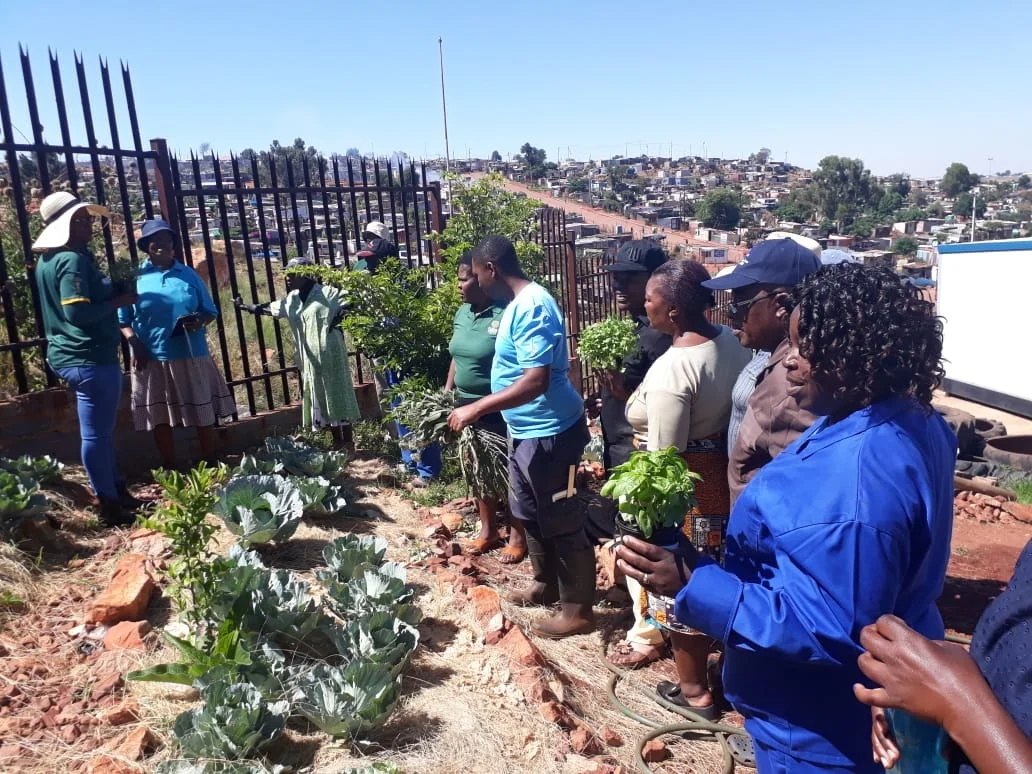 Hope Park harvest.jpg