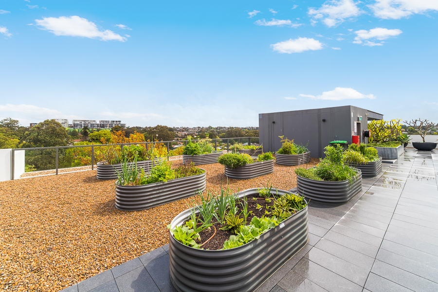 Unit 301N_1 Lardelli Drive_Ryde-001.JPG