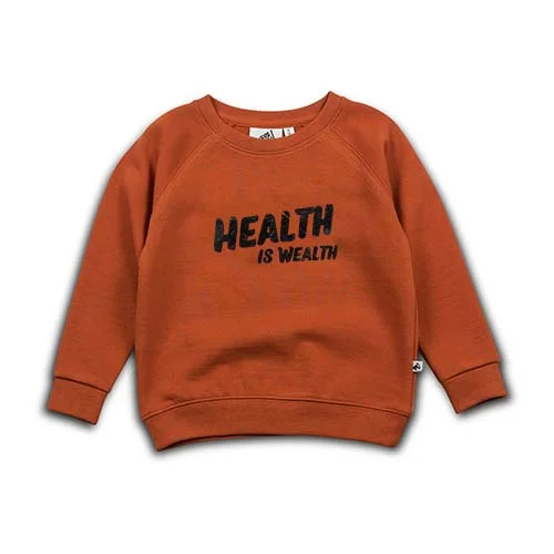 SWEATER - health is wealth - potters clay.jpg