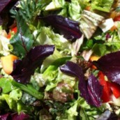 Beet Root Leaf Salad