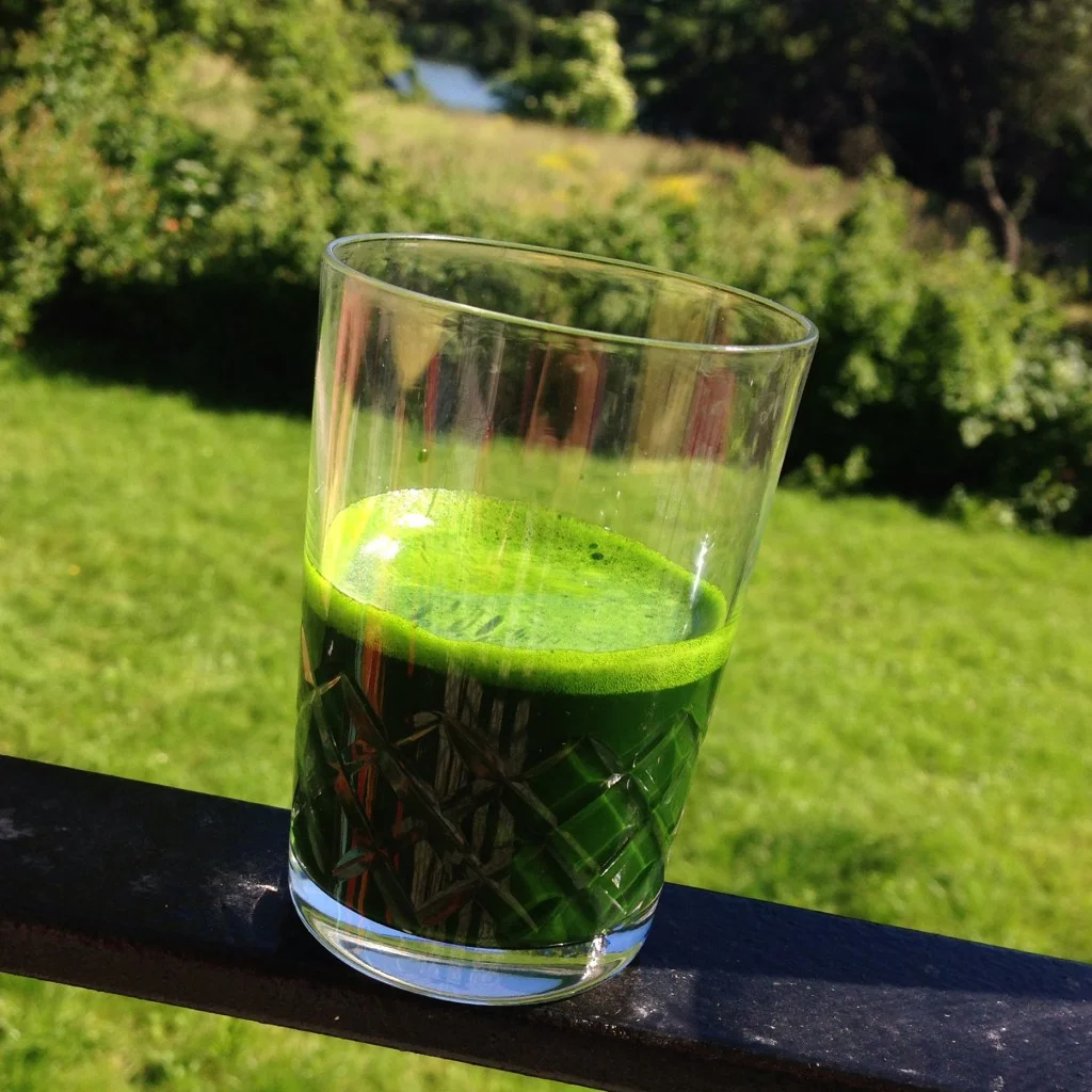 The Power of Drinking Your Greens