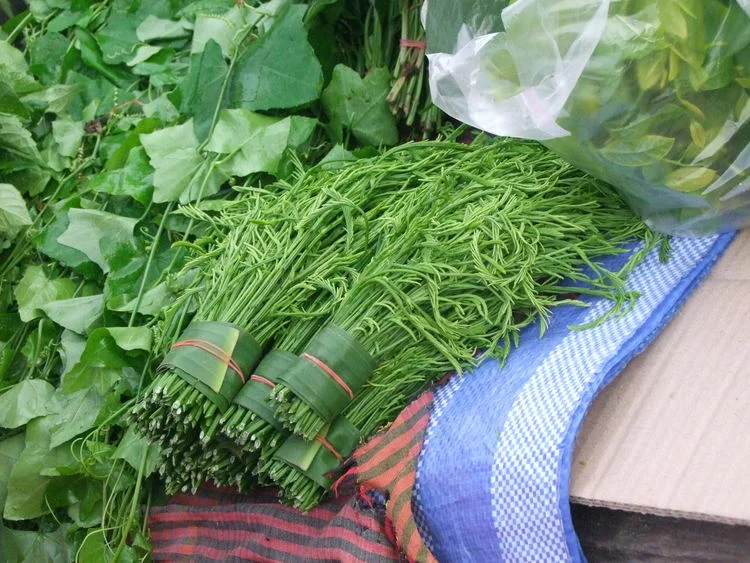 Why Green Leafy Veggies?    