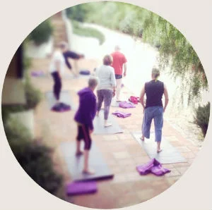 yoga-spain-olive-retreat.jpg