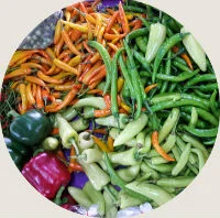 olive-retreat-fresh-veggies.jpg