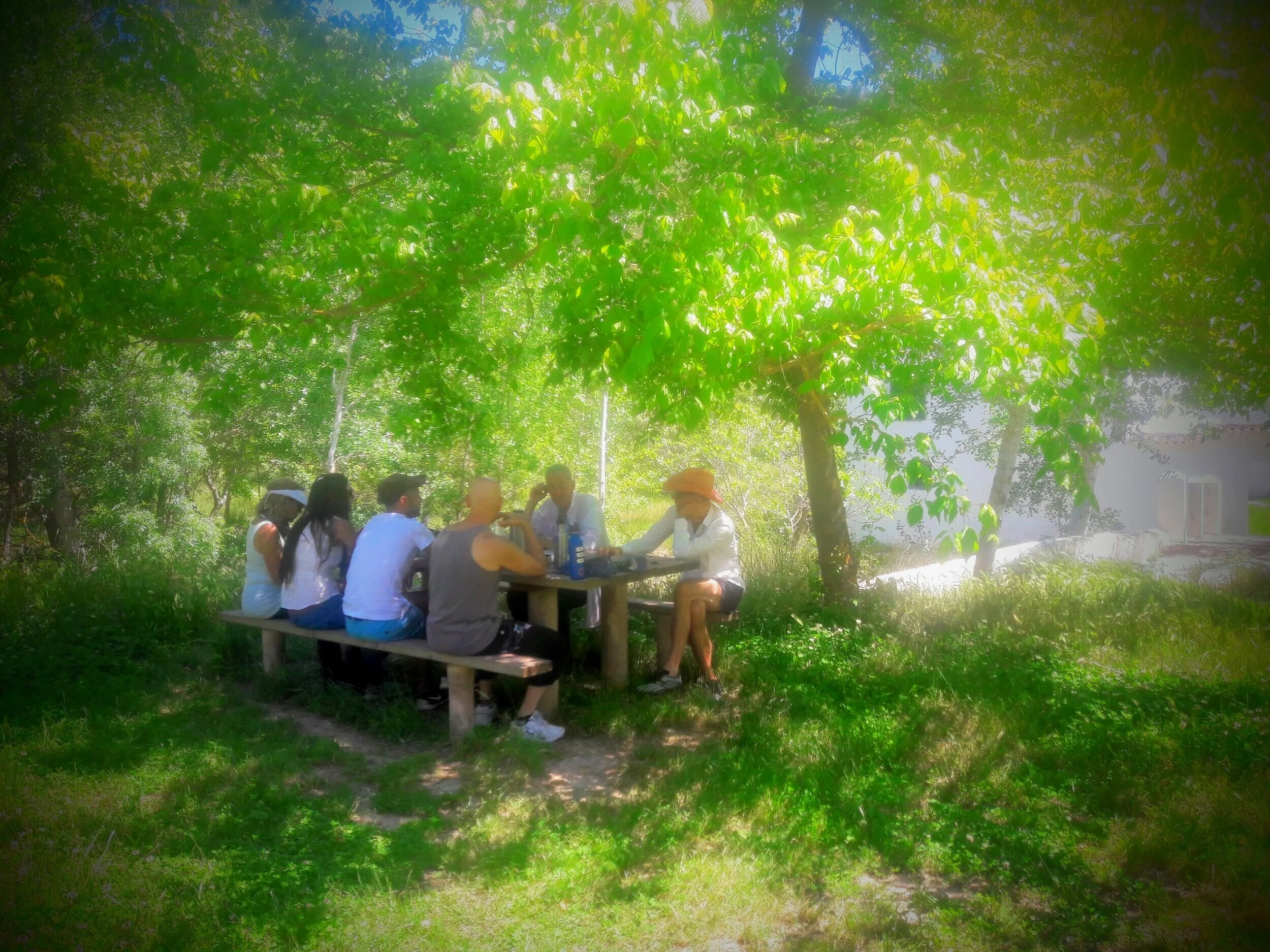olive+retreat+lunch+picknick+and+O8+meditation+.jpg