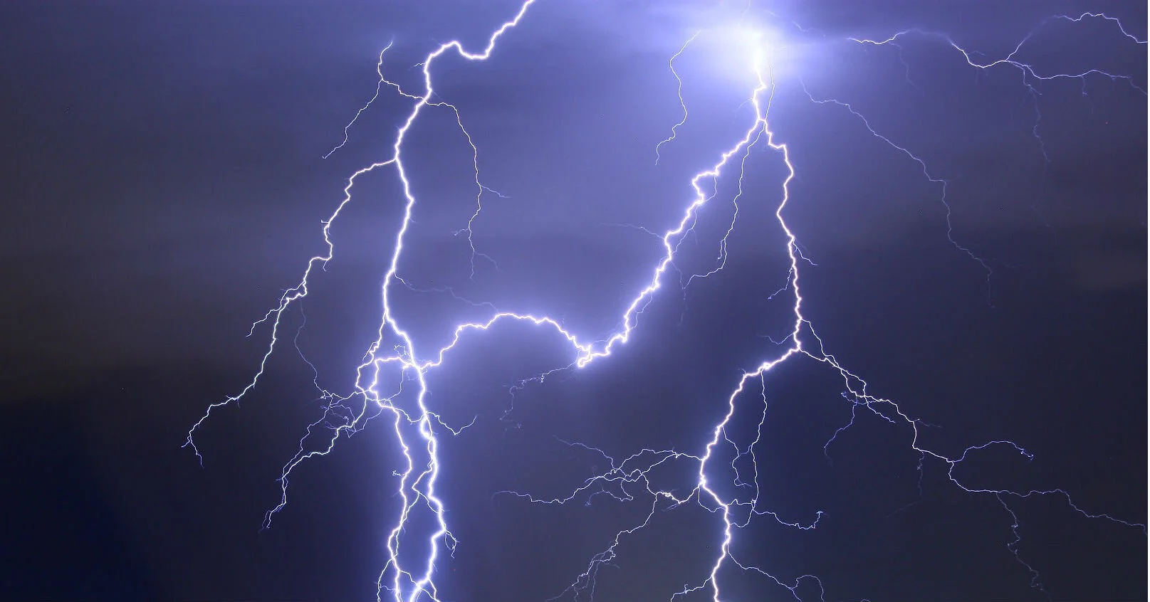 lightning-olive-meditation.jpg