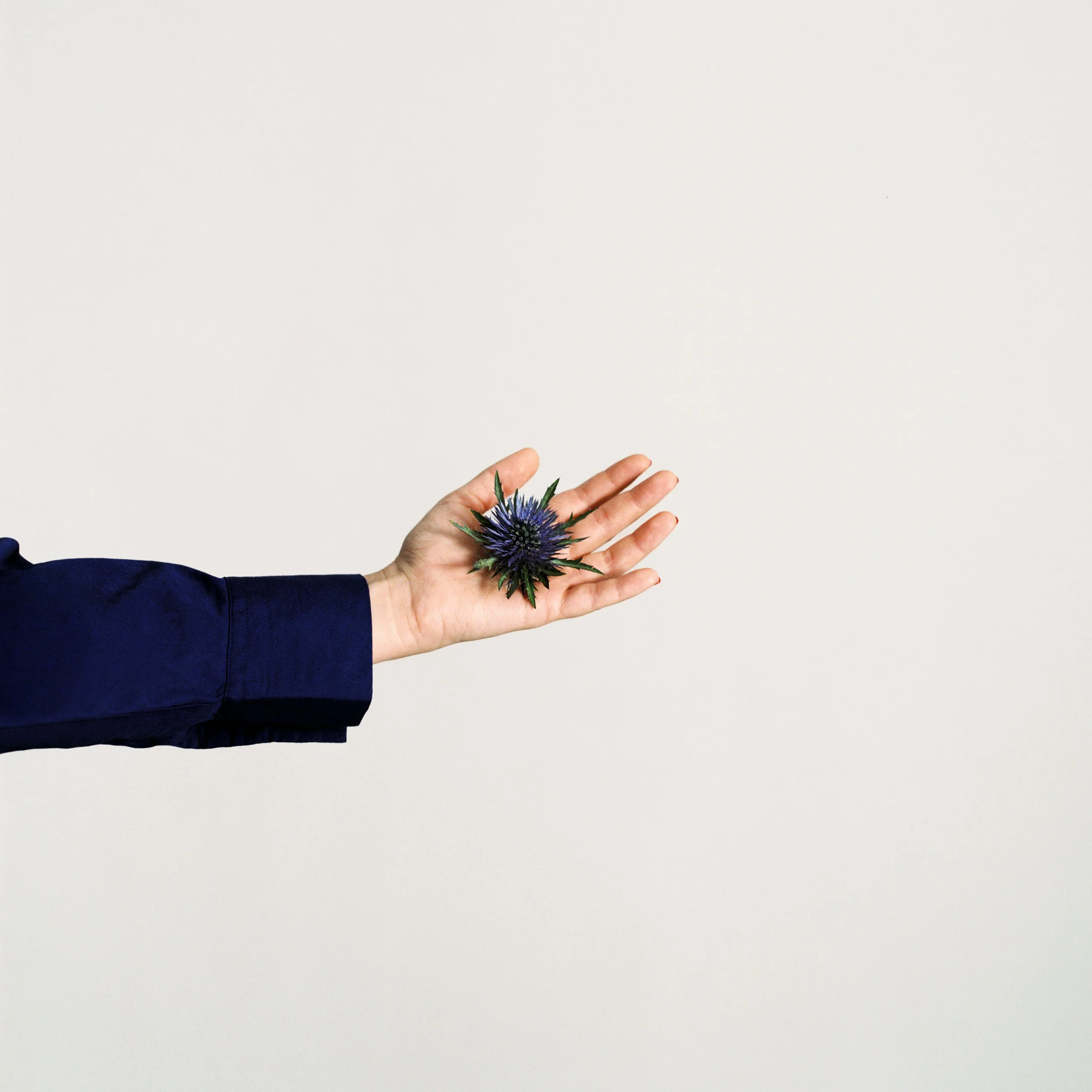 C1_COBALTO COLLECTION-04.jpeg