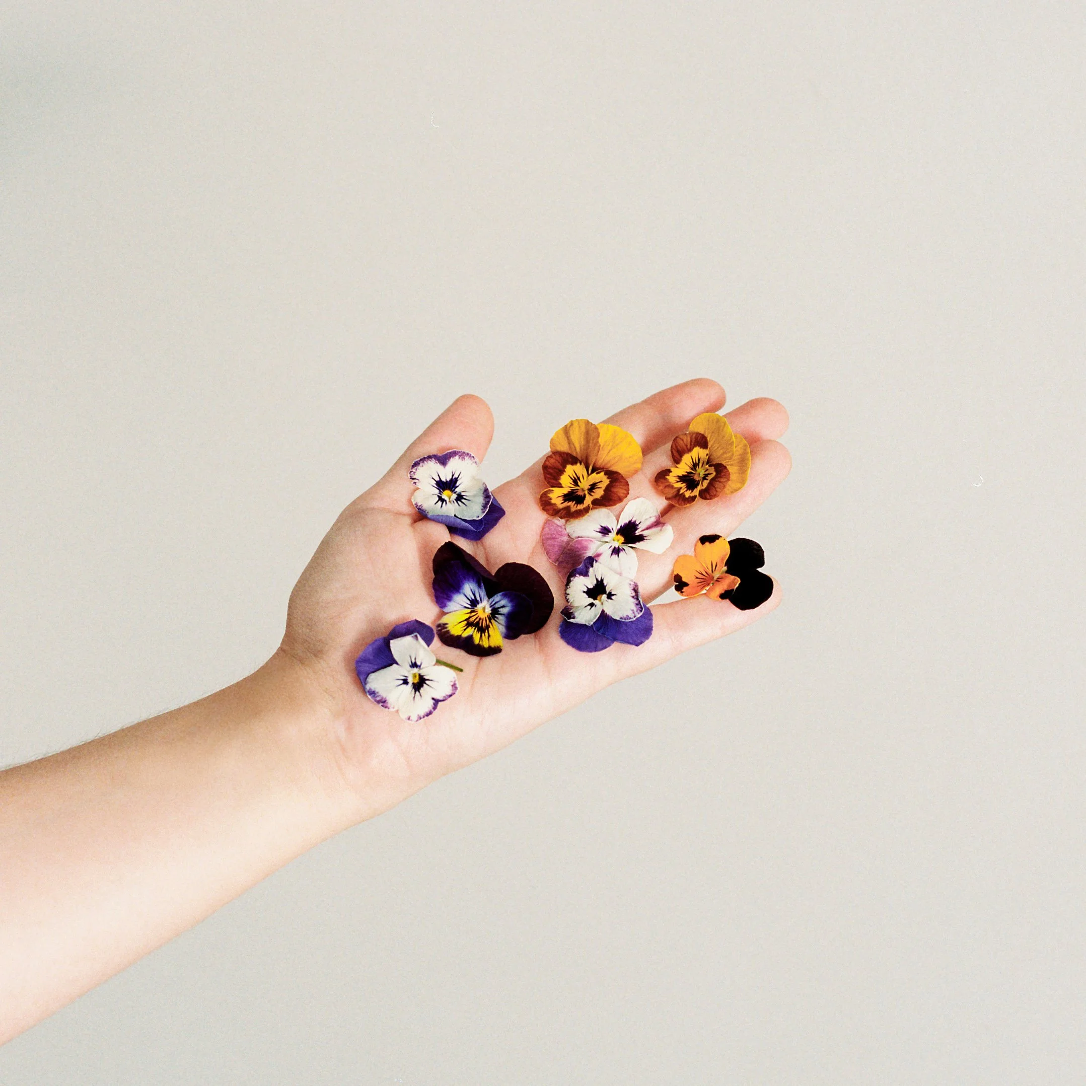 C1_AMBAR COLLECTION-22.jpeg