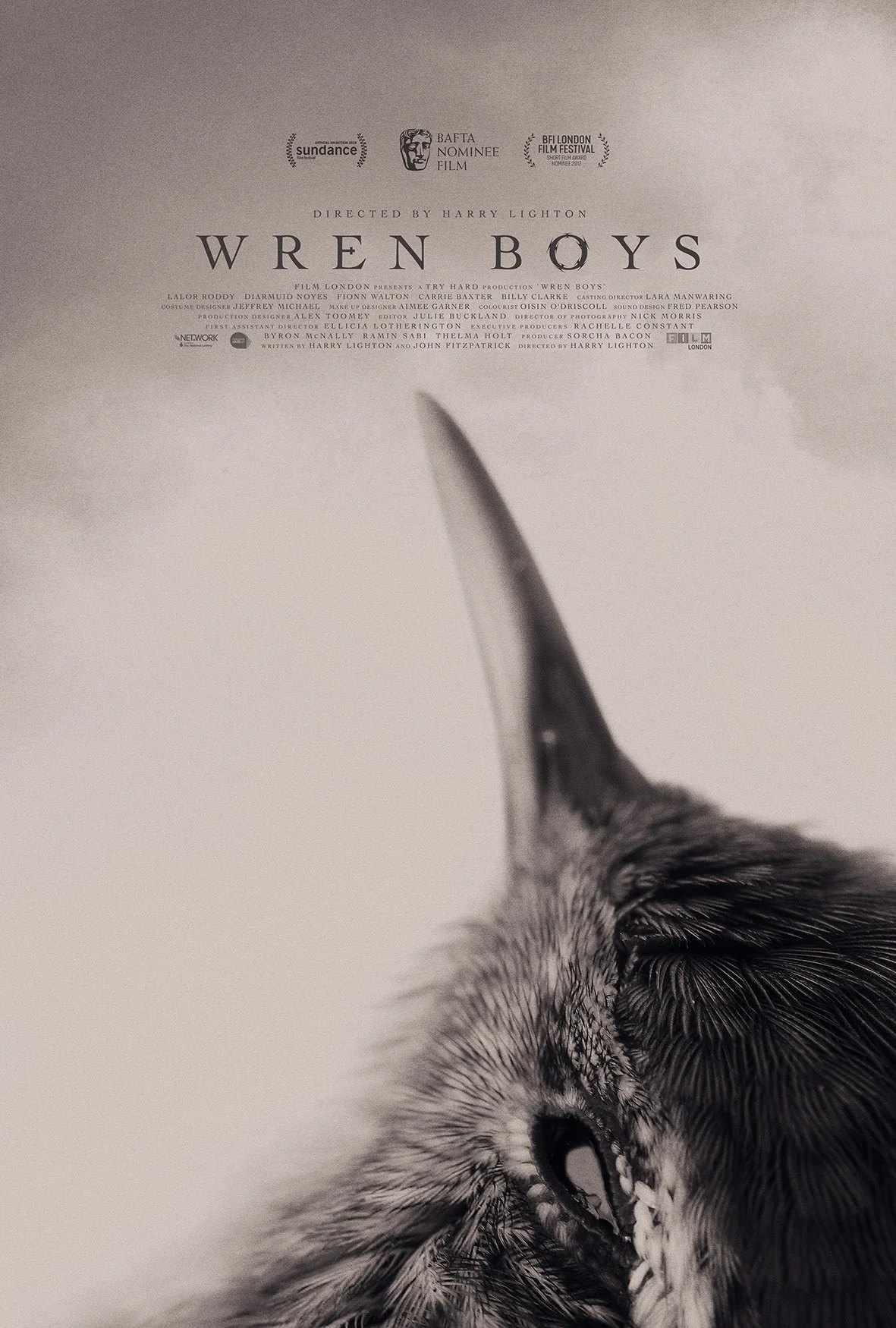 WrenBoys_Latest.jpg