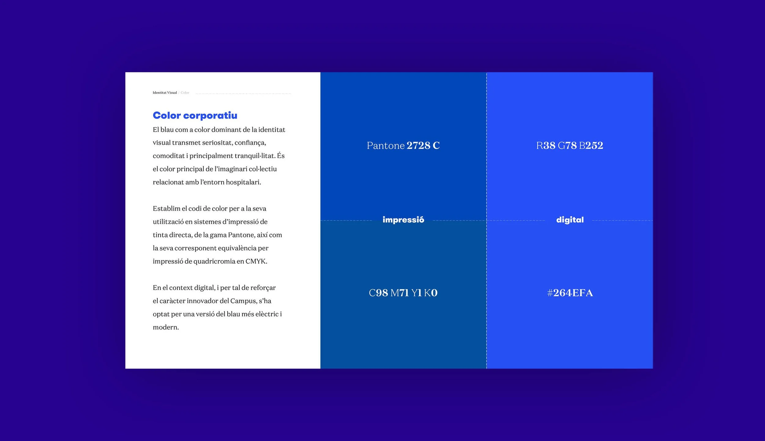 brand guidelines5.jpg