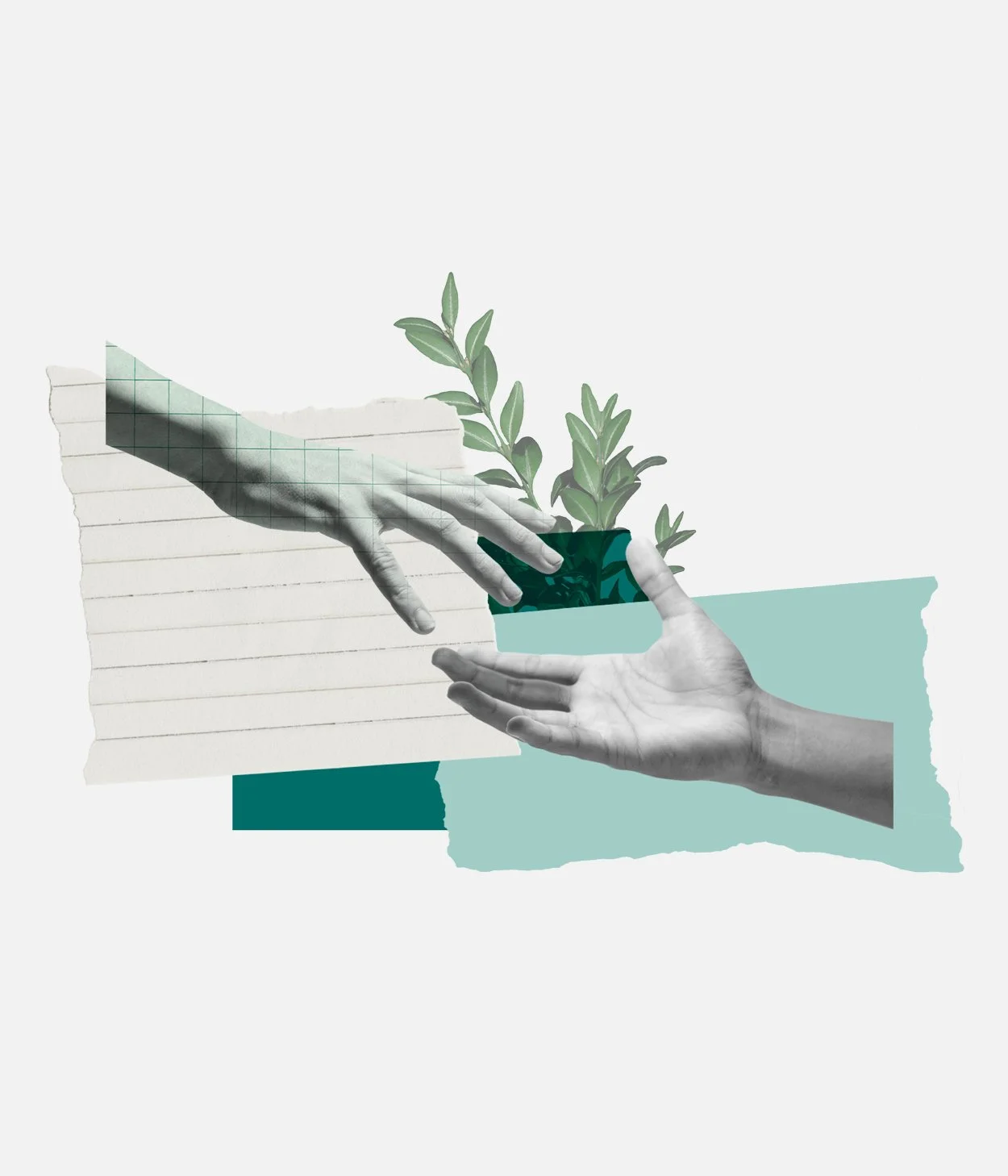 GUIA-TCA7.jpg