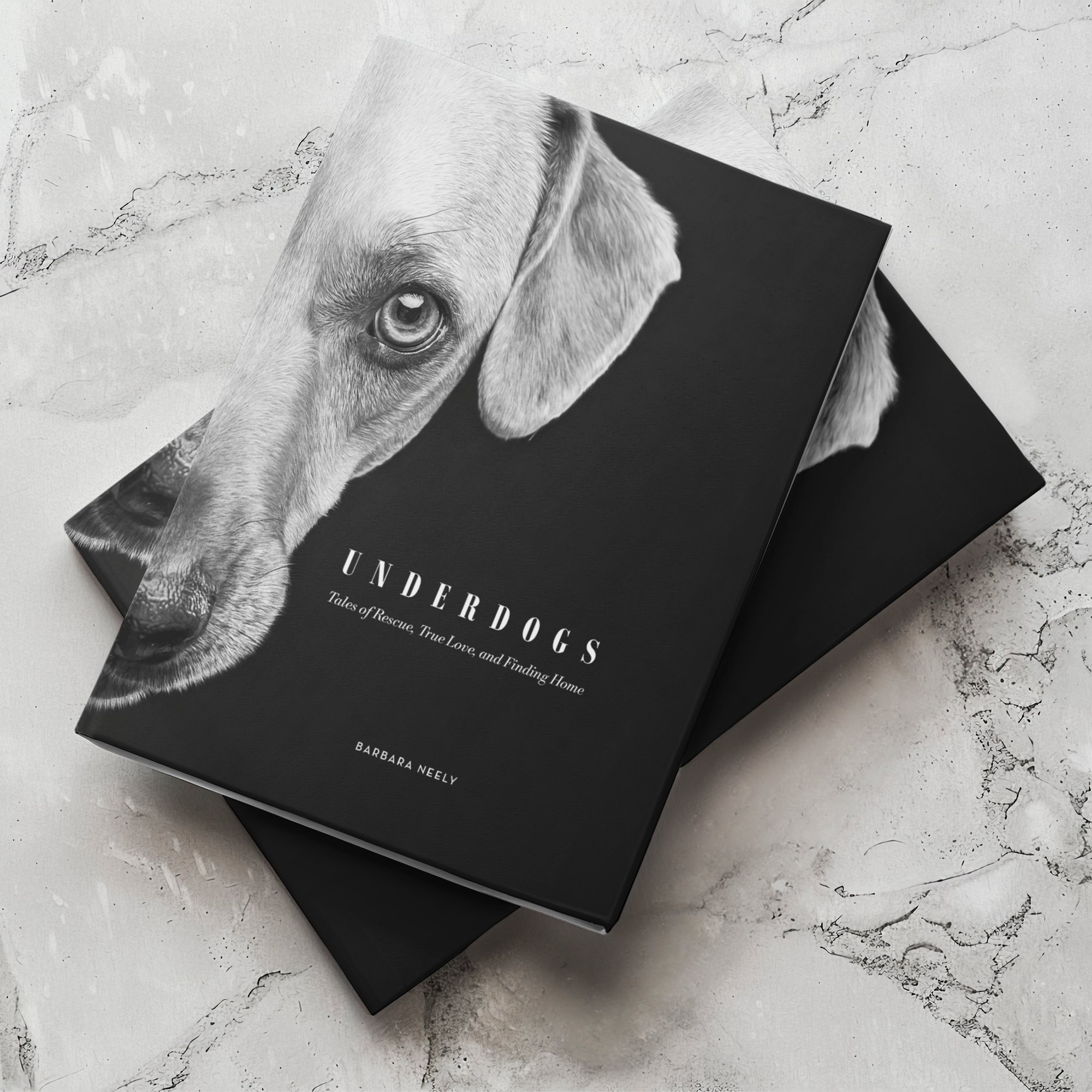 UNDERDOGS Tales of Rescue, True Love, and Finding Home | Volume 1