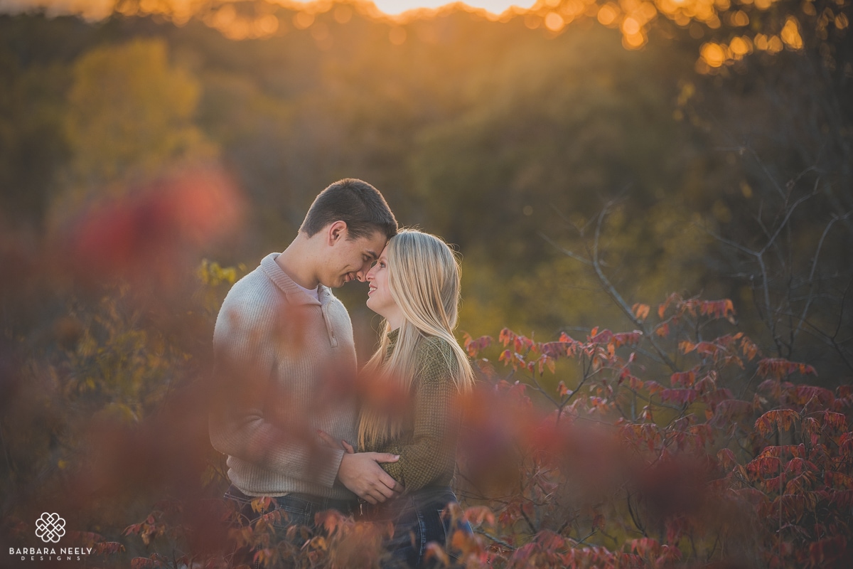engagement_alexusnick_ BND_0823.jpg