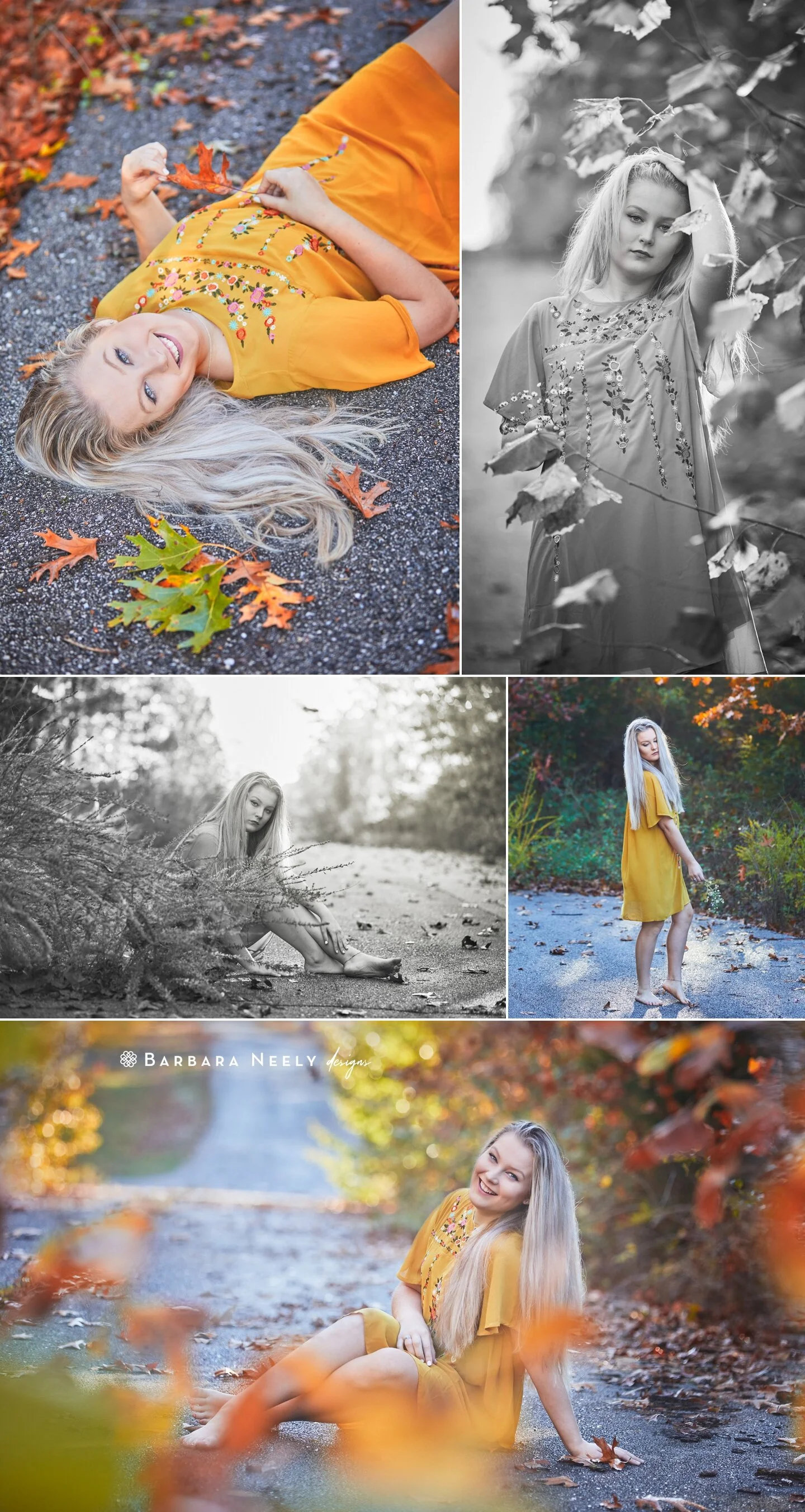 backroads in the fall senior photos.jpg