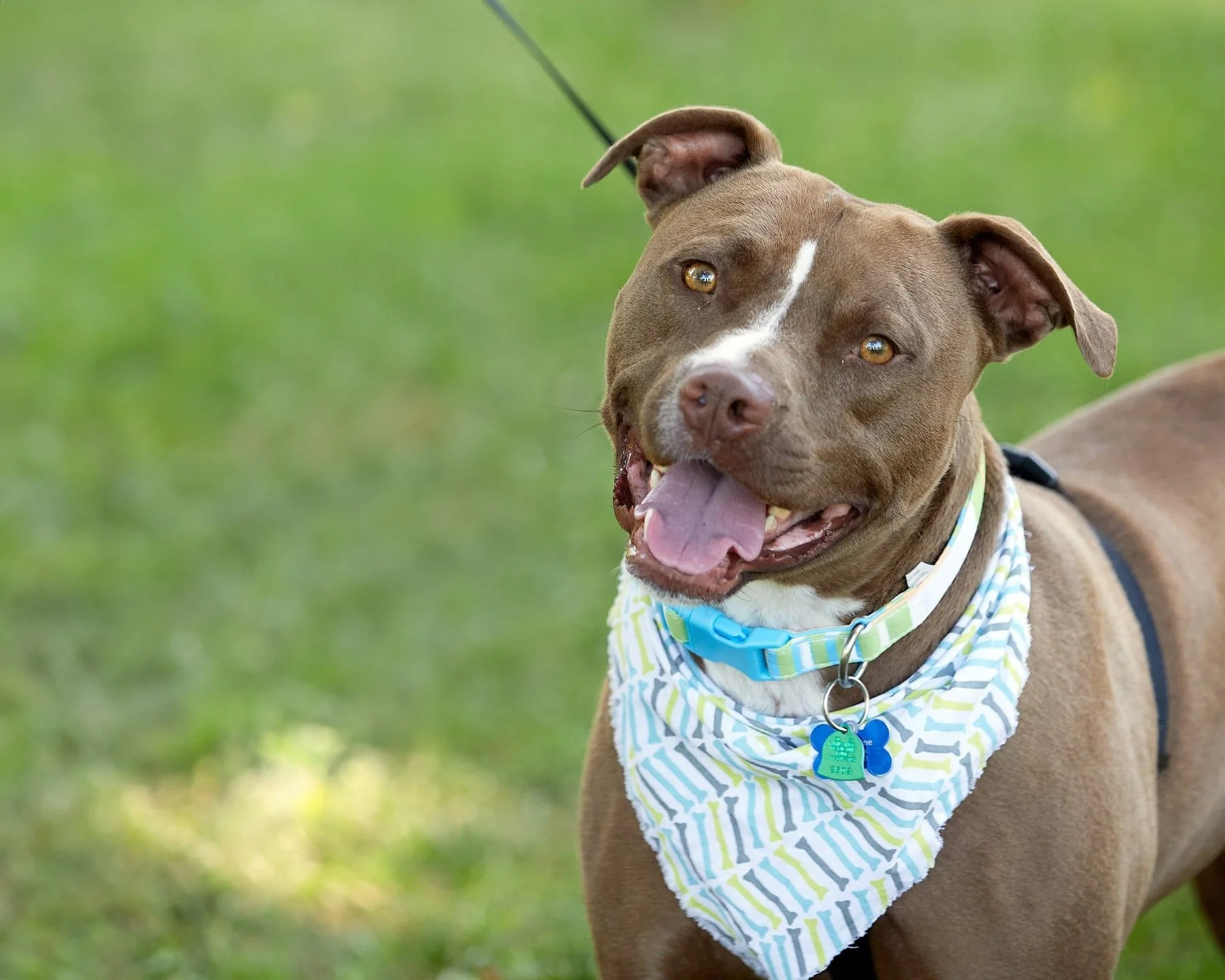 giving back charitable photographer springfield missouri.jpg