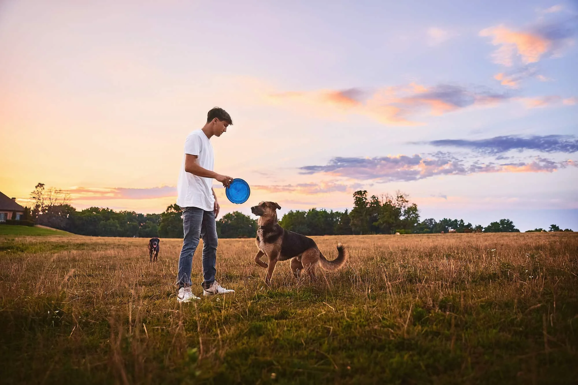 senior-pictures-with-dogs-045.jpg