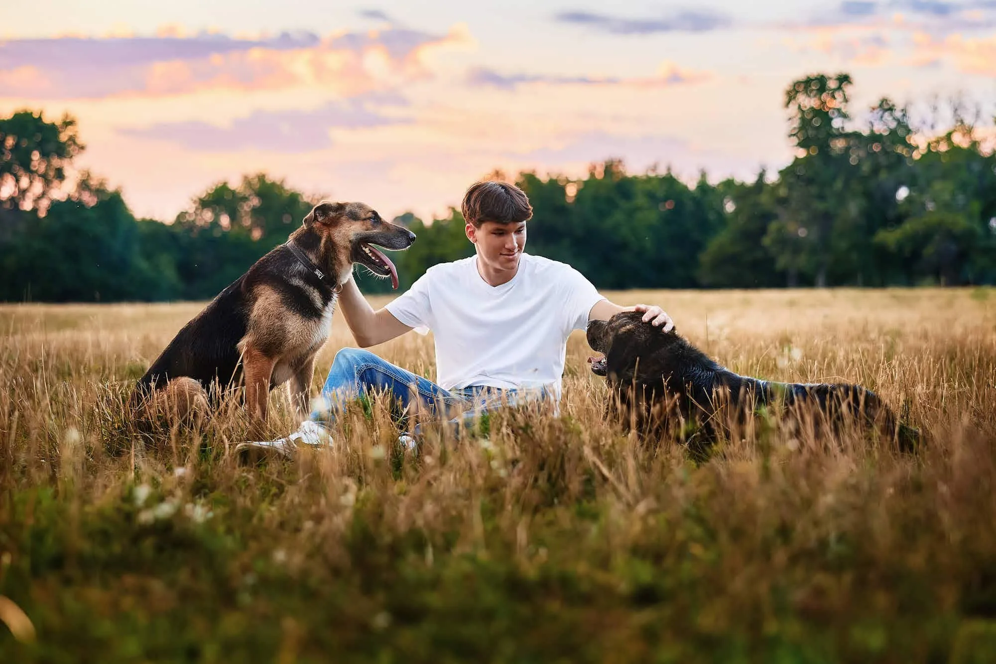 senior-pictures-with-dogs-048.jpg
