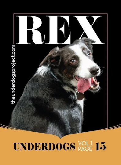 underdog traders REX Fweb .jpg