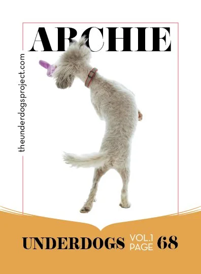 underdog traders archie fweb .jpg
