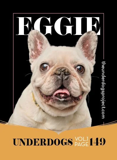 underdog traders eggie fweb .jpg