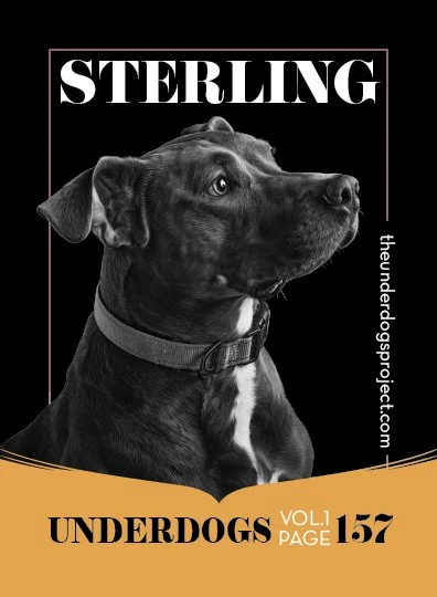 underdog traders sterling fweb .jpg