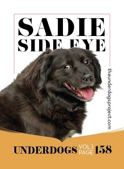 underdog traders sadie fweb .jpg
