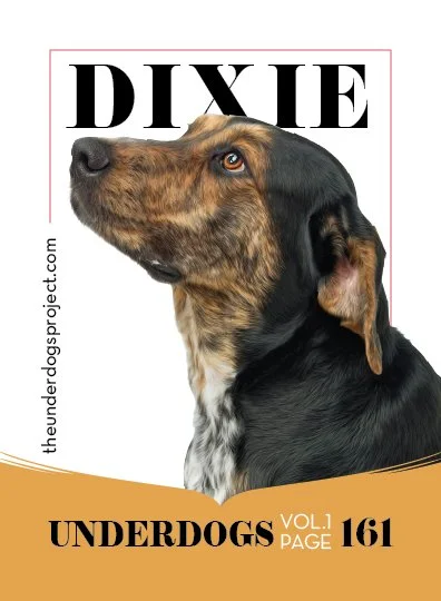 underdog traders dixie fweb .jpg
