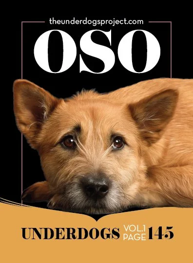 underdog traders oso fweb .jpg