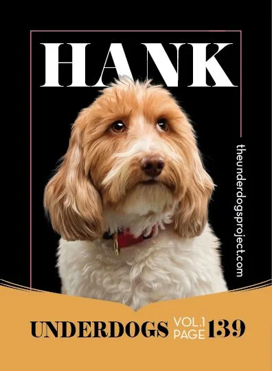 underdog traders HANK Fweb .jpg