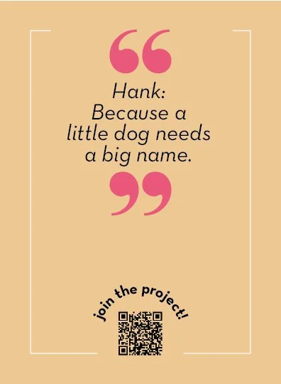 underdog traders HANK Bweb .jpg