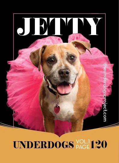 underdog traders JETTY Fweb .jpg