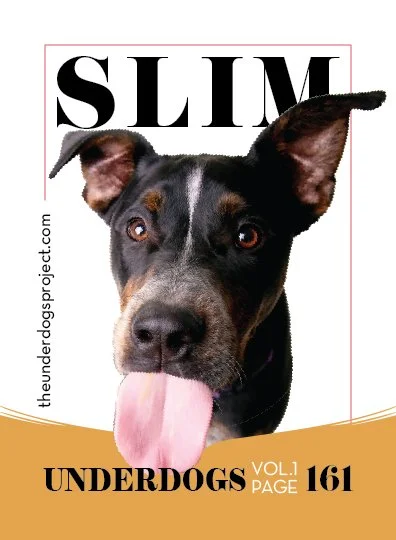 underdog traders slim fweb .jpg