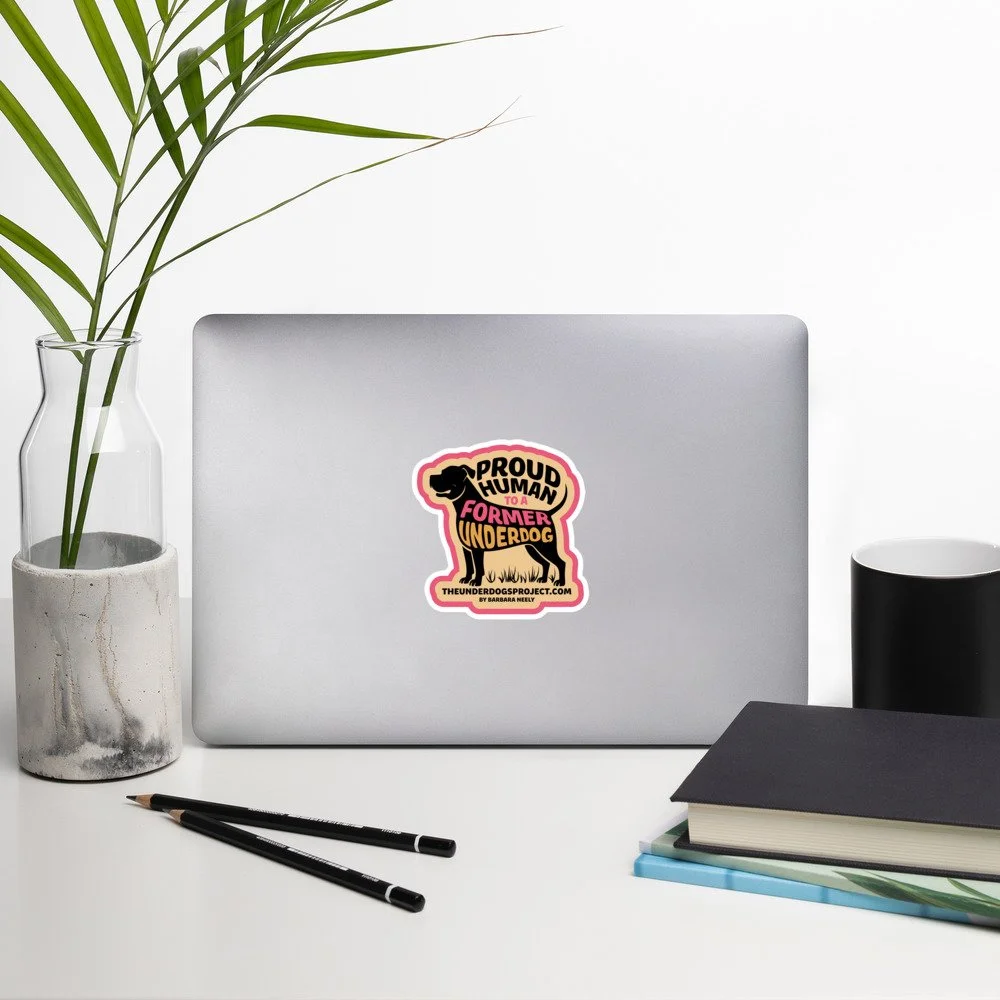 kiss-cut-stickers-white-4x4-lifestyle-2-69e7d9c549e31.jpg