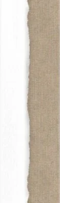 Linen Fabric TL05 Light Moka_3.95in.jpg