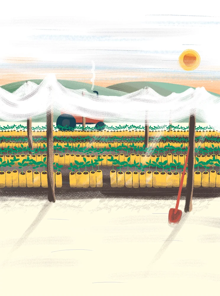 nursery.jpg