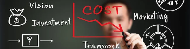 koi-cost.jpg