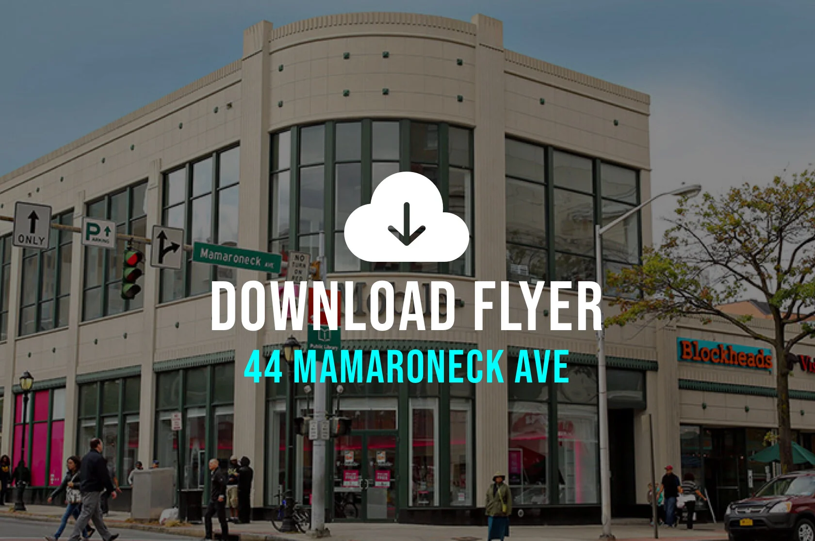 44_mam_flyer_DL.jpg