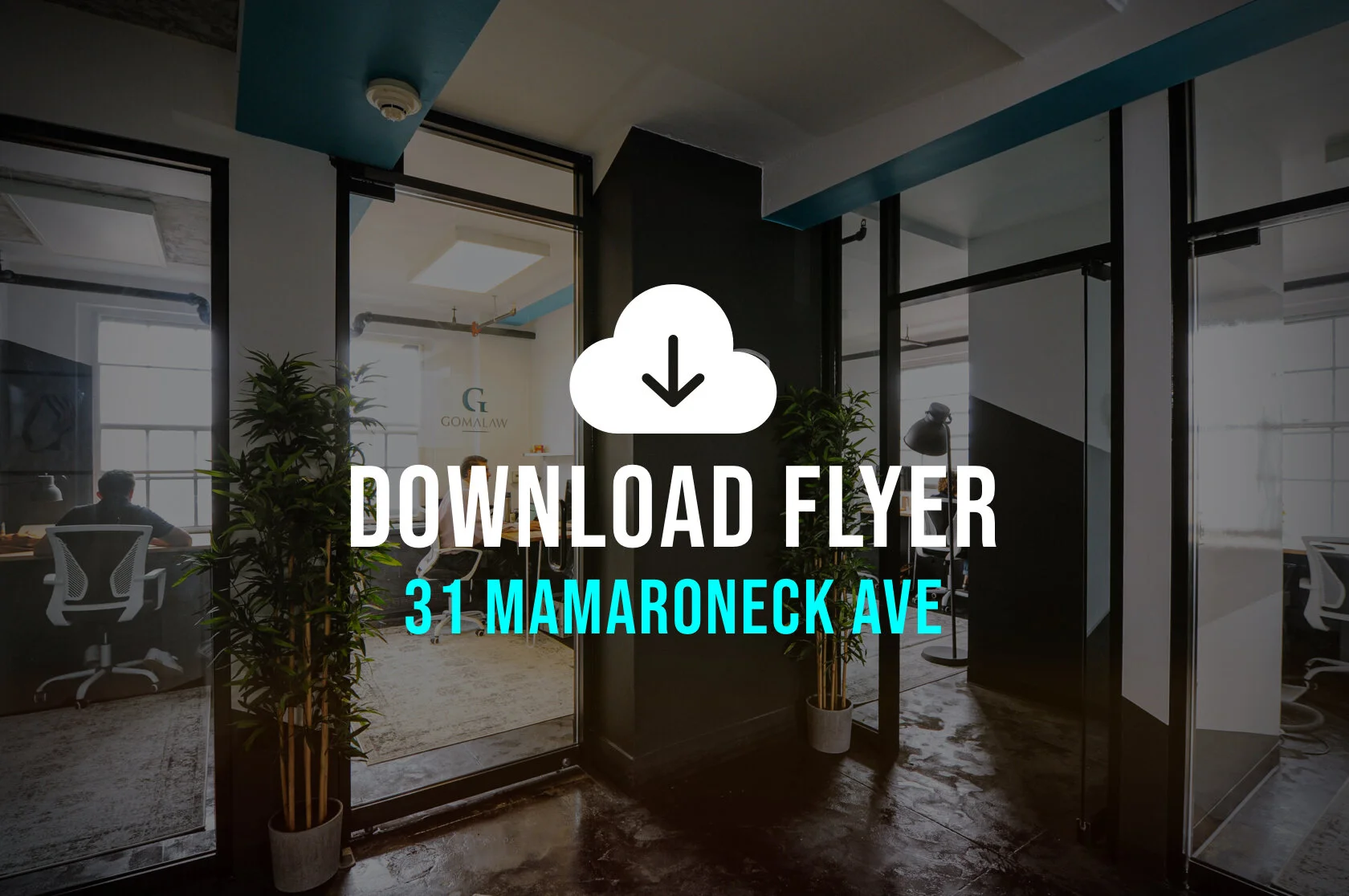 31_mam_flyer_DL.jpg