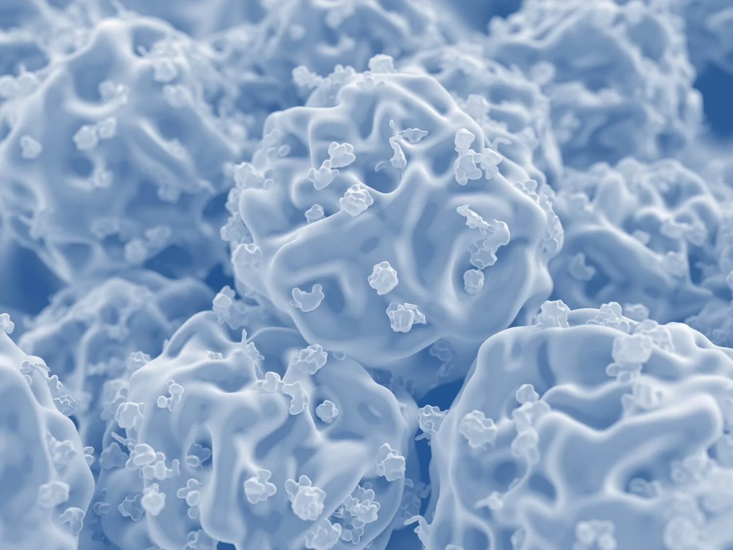 Biologic Therapies - A Significant Role in your Practice!  PRP, BMA &amp; Adipose Training - A Complete Hands-On Program