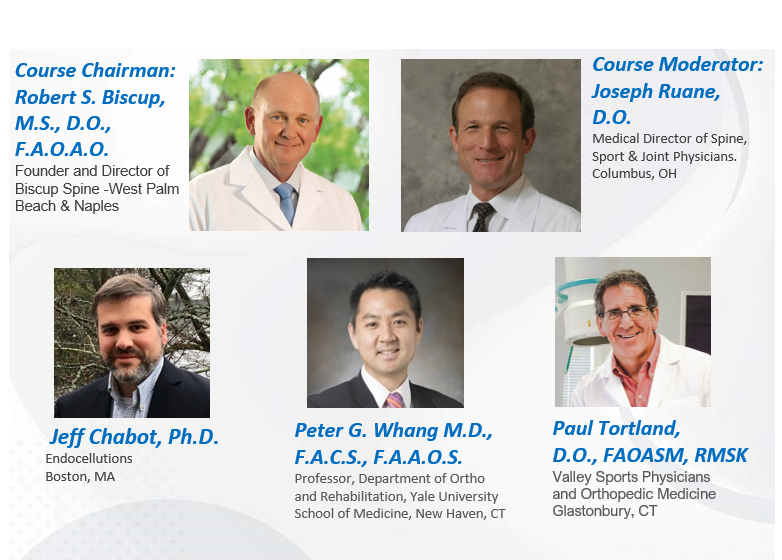 The Spinal Motion Segment with Regenerative Treatment Options; Spine Surgeons and Regenerative Clinicians Working Together!
