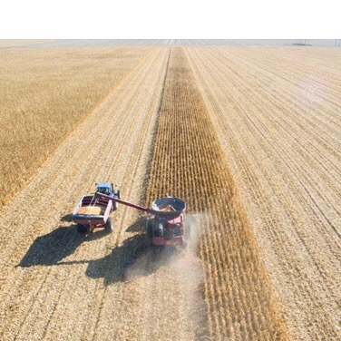 Do you have an issue with gluten?🤔 This is gives you an idea of the scale of environmental destruction caused by monoculture of wheat 🌾 corn 🌽 and soy.

It&rsquo;s estimated that in the US, grass lands sat on top of 20 feet of black, carbon rich s