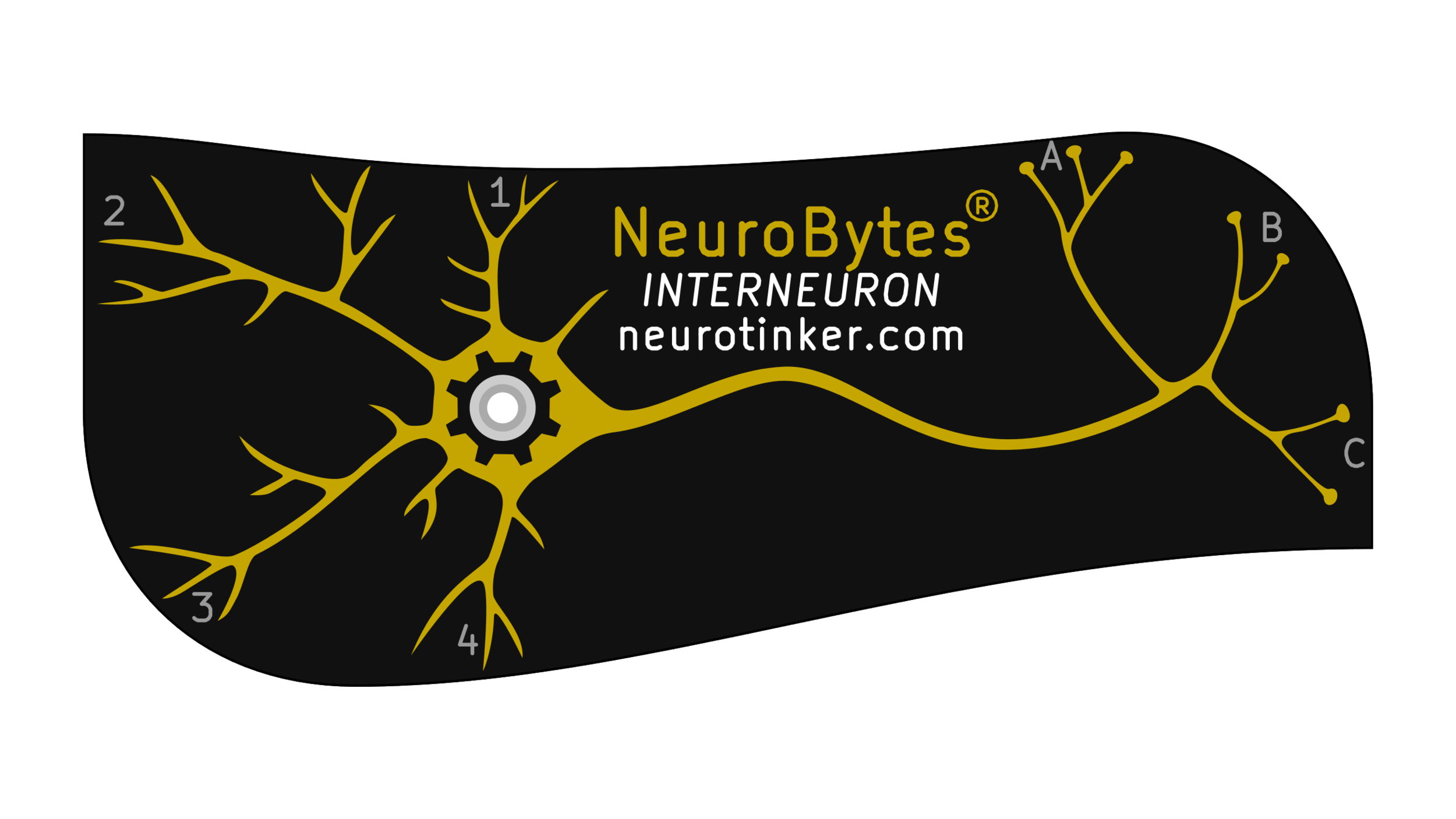 NeuroBytes_Interneuron.png