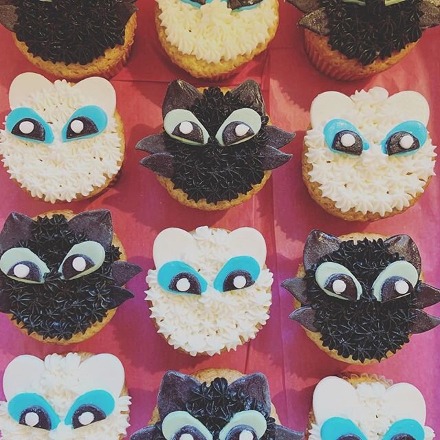 #howtotrainyourdragon #howtotrainyourdragoncupcakes #cupcakes #cupcakesofinstagram #capecodfoodie #freedelivery #cupcakedelivery #capecodlife
@bostonfoodjournal ❤️🔥