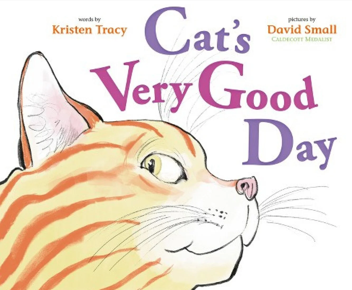 Picture Books — David Small