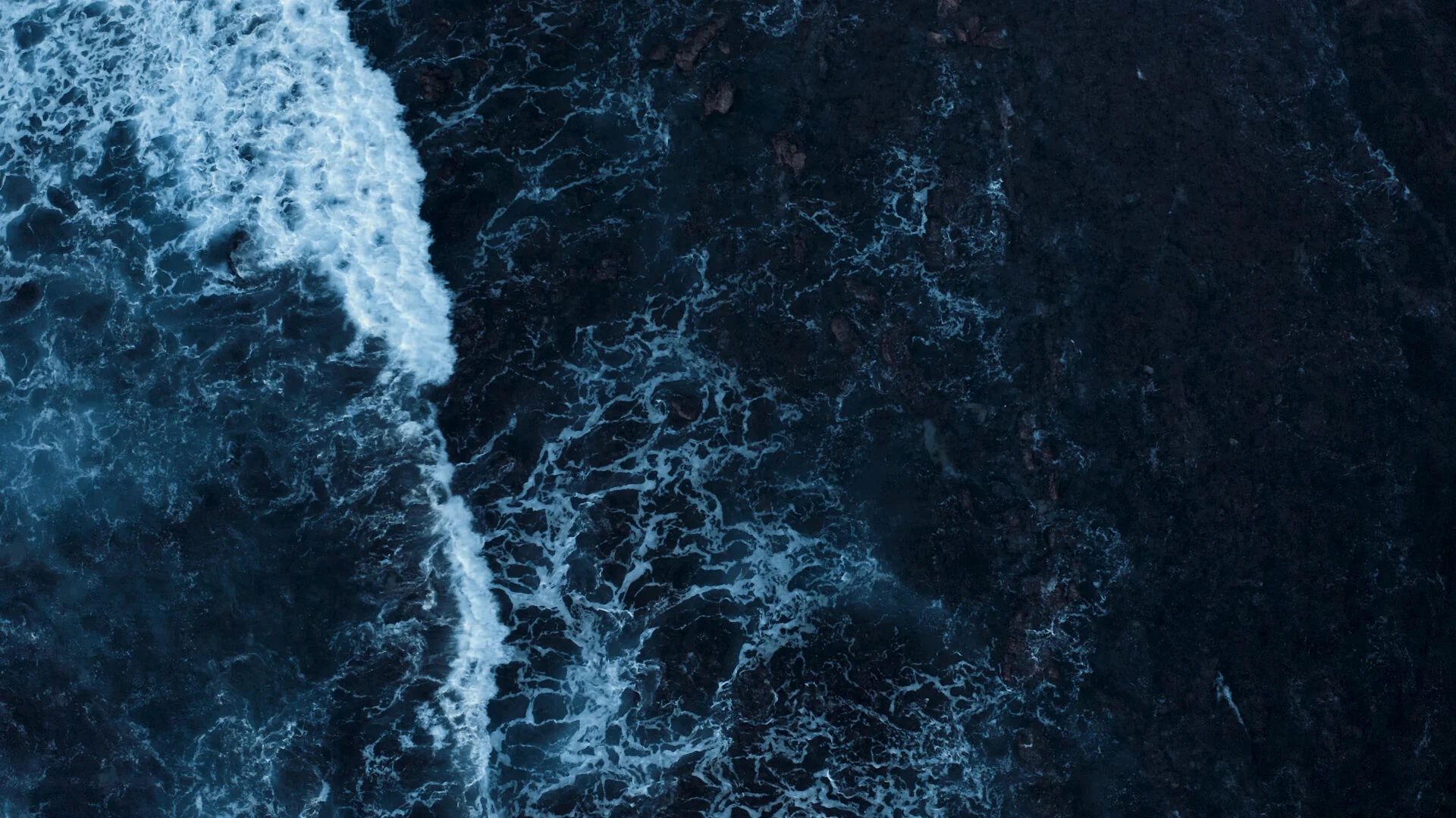 Aker BioMarine - " I am"