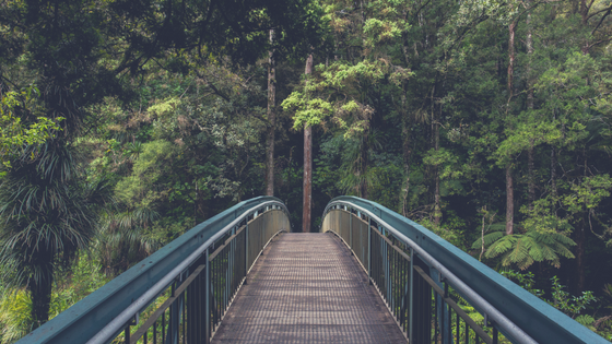 Cultivating Trust to Positively Transform Anxiety
