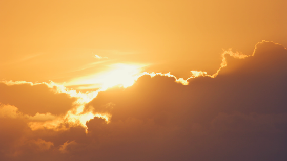 The 7 Things I Do Every Morning