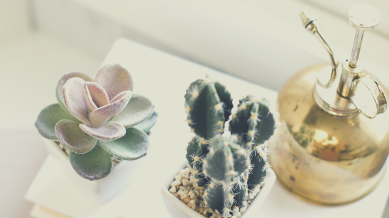 Being Reactive vs. Proactive Around Anxiety